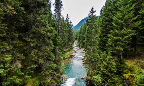 Trentino magico per davvero!