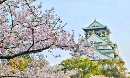 Giappone in treno: ammirando gli early blossoms