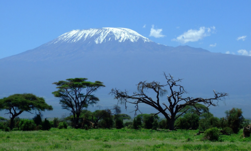 Safari in Kenya 2025